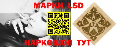 стаф Новозыбков
